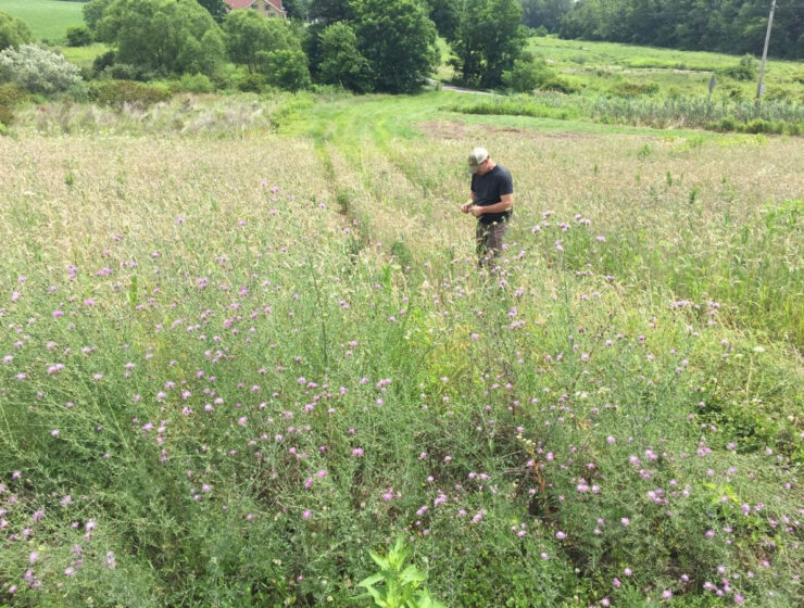 Eight Oaks, PA Veteran Farming Network Launch Grant Program 