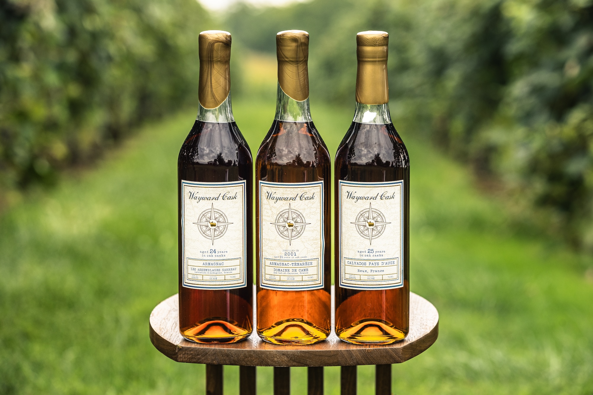 Rolling Fork Rum Rolls Out in 16 Markets – Craft Spirits