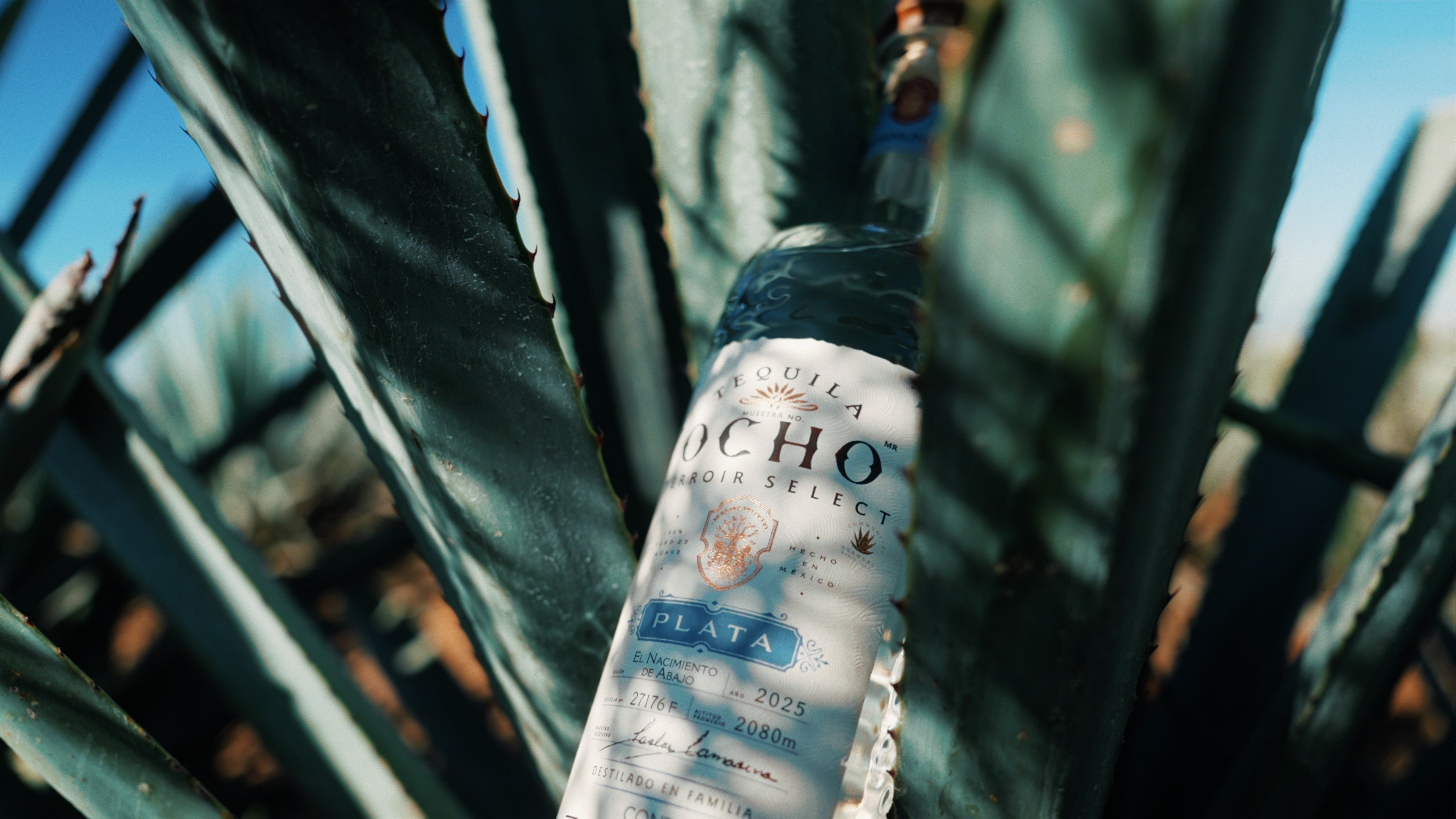 Tequila Ocho Offers New Terroir Select Vintages – Craft Spirits